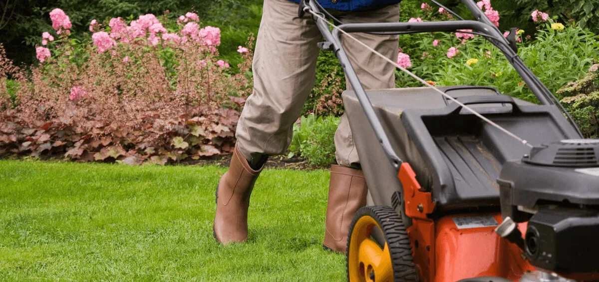 Entretien Extérieurs